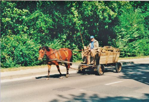 Pferdekutsche