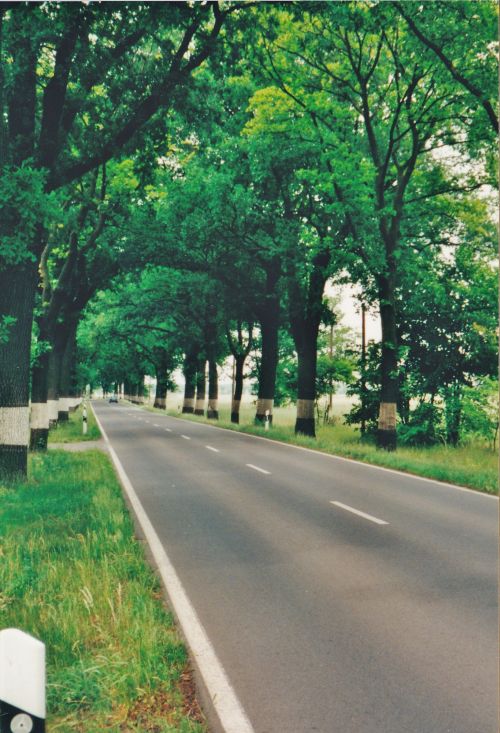 Chaussee