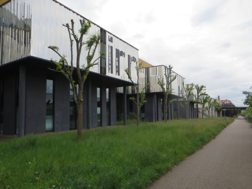 Bild