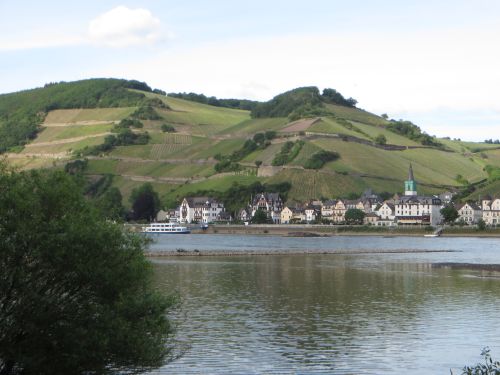 Bild