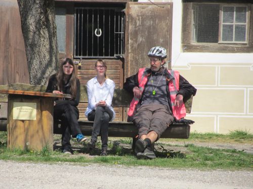 Bild